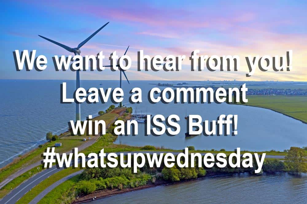 Read more about the article What’s Up Wednesday – We want to hear from you
