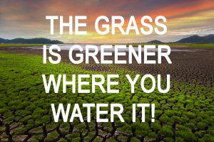 Read more about the article What’s Up Wednesday – The Grass May Be Best Where You’re At