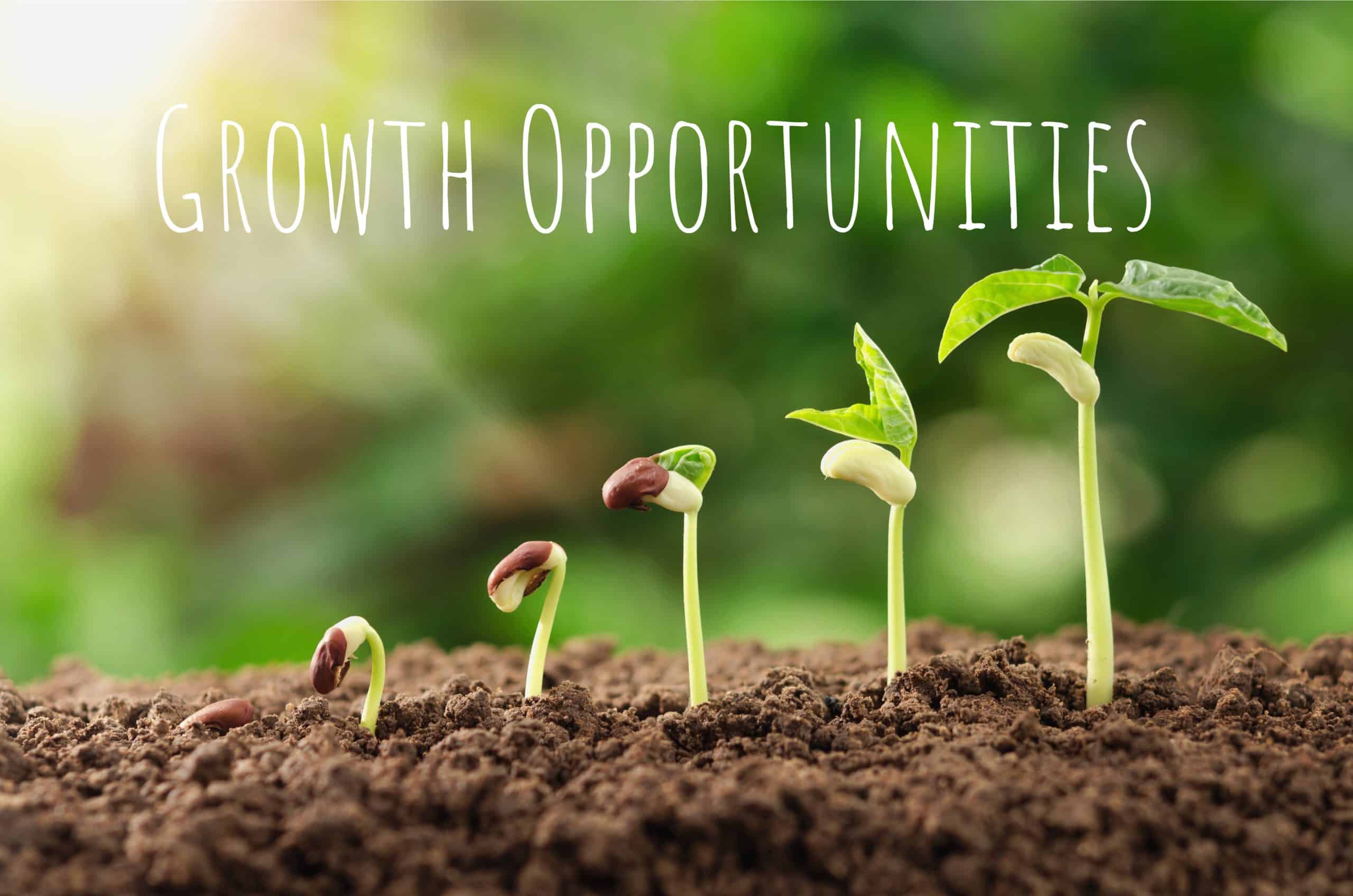You are currently viewing What’s Up Wednesday –  Employees Want Growth Opportunities