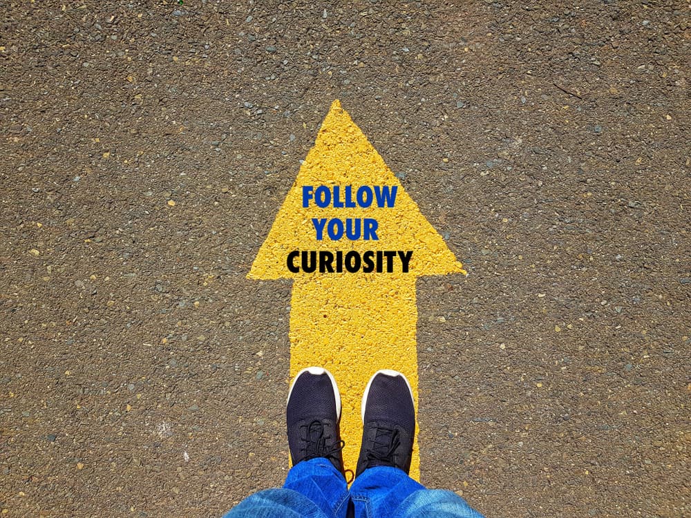 You are currently viewing Leading with Curiosity