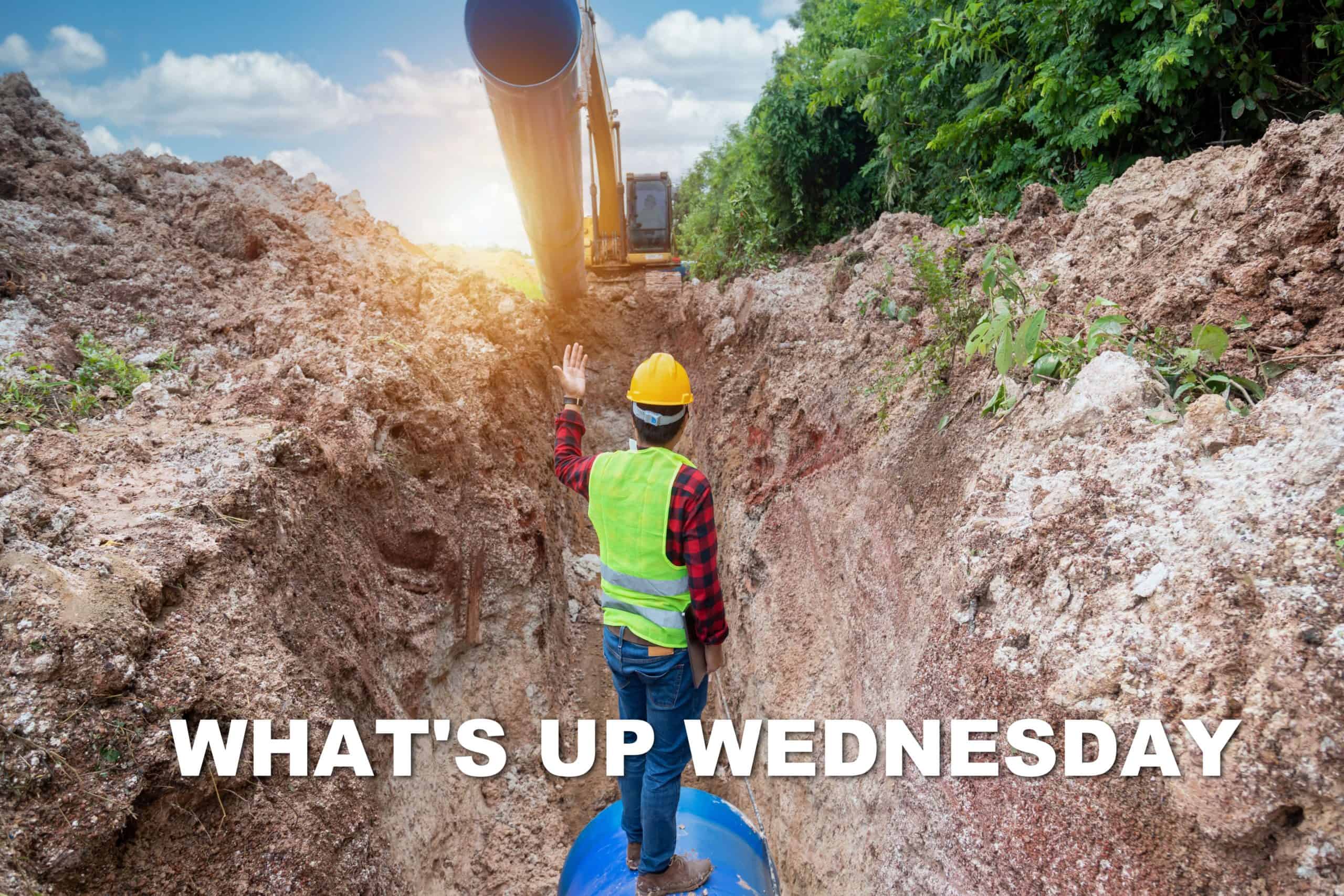You are currently viewing What’s Up Wednesday – No Job is Worth Dying