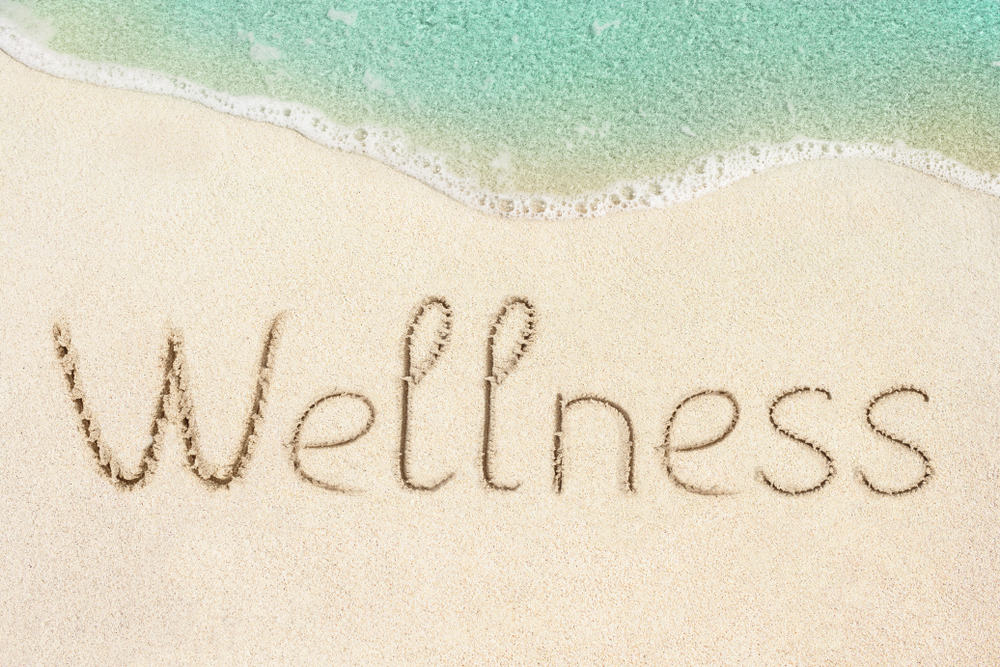 You are currently viewing Wellness and why it is important