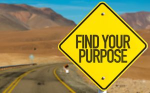Read more about the article What is your purpose?