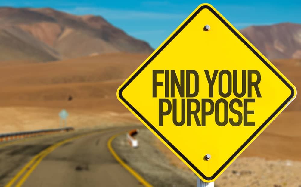 Read more about the article What is your purpose?