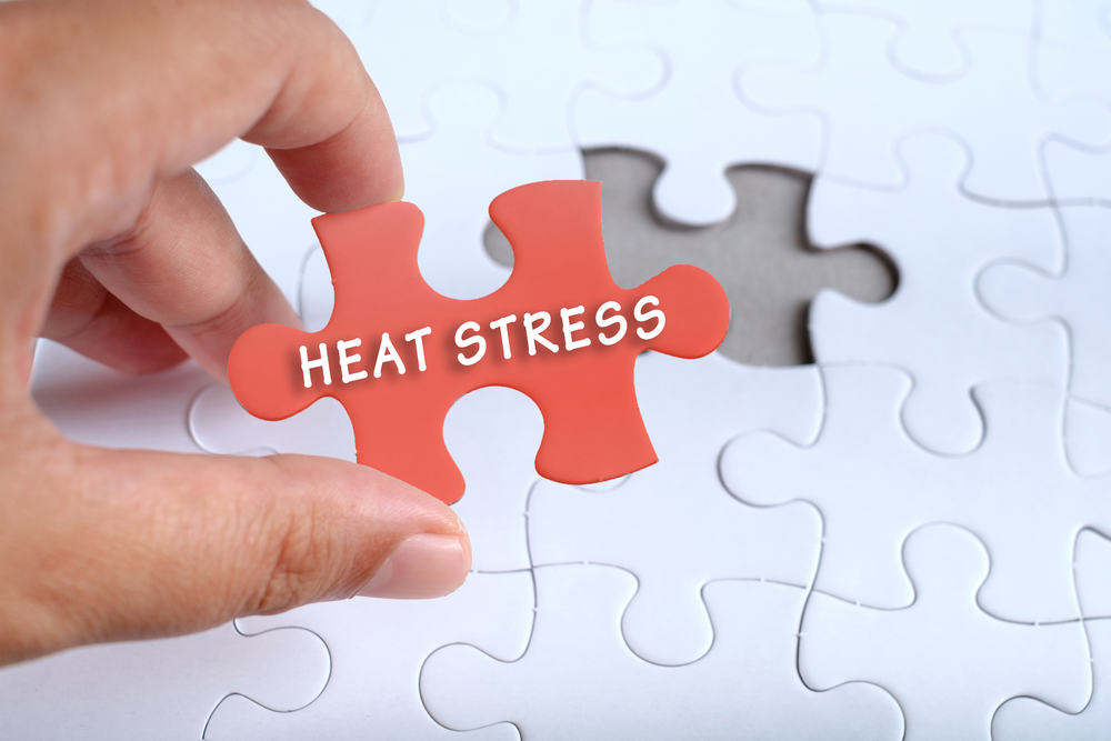 You are currently viewing What’s Up Wednesday – Heat Stress Prevention