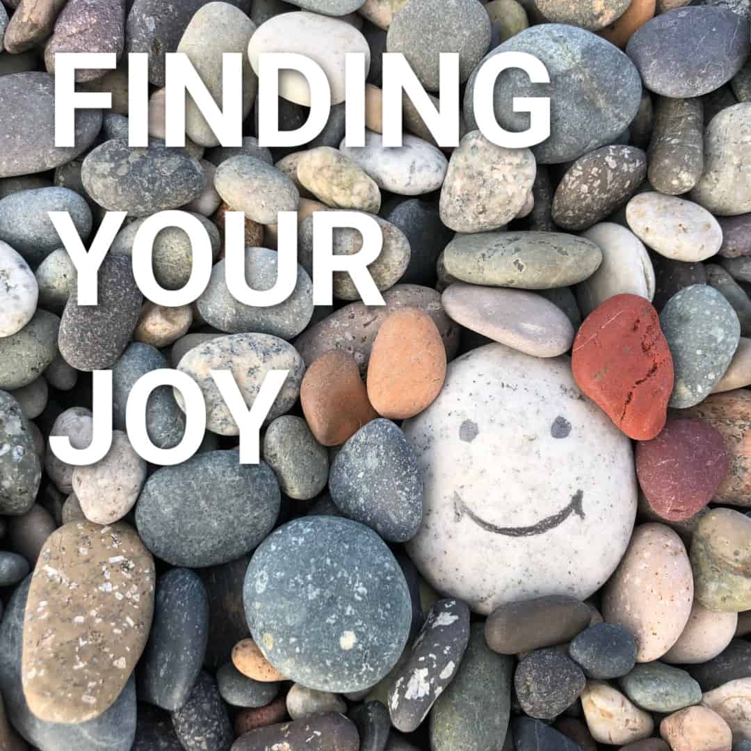 Read more about the article What’s Up Wednesday – Finding Your Joy