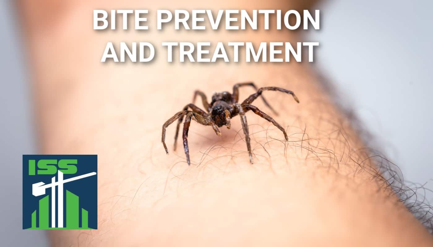 You are currently viewing Bite prevention and treatment
